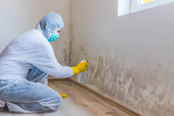 Mold Remediation specialist working in Edenton